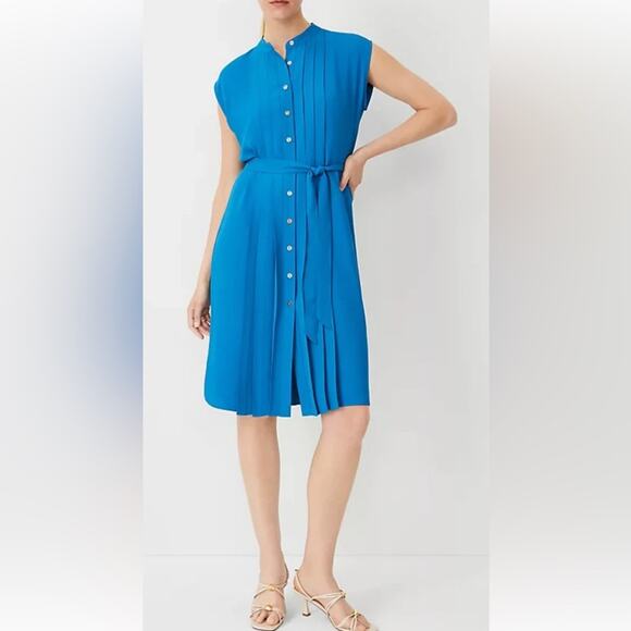 NWT* Ann Taylor Pleated Belted Button Front Cap Sleeve Dress Royal Blue Size 18 - Picture 2 of 15